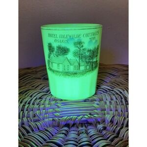Minnesota Osakis Hotel Idlewilde Souvenir Custard Glass Toothpick Holder